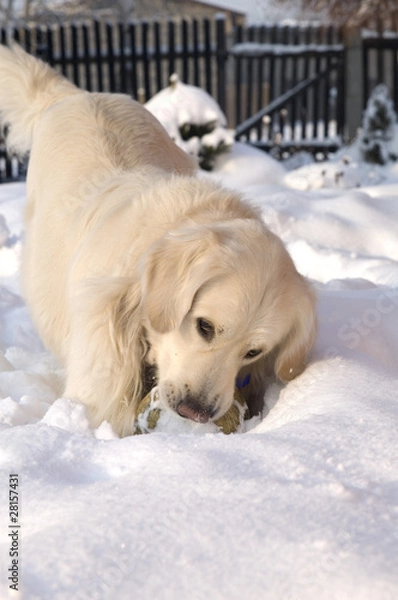 Obraz przyjeciel rodziny