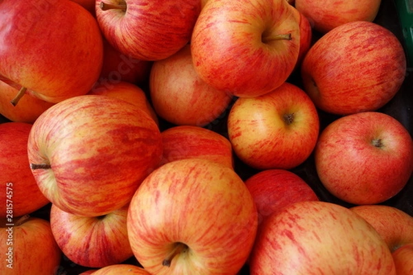 Fototapeta Äpfel
