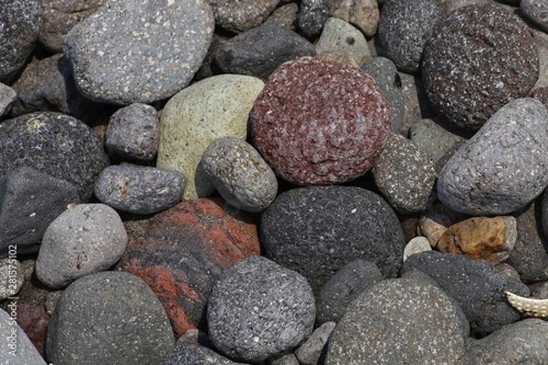 Obraz Pebbles on the coast
