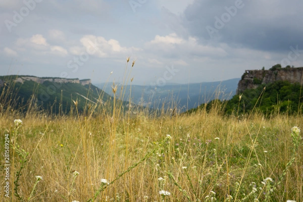 Obraz dry field grass on a plateau among Crimean canyons