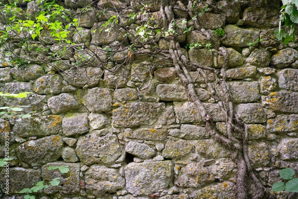 Obraz texture wall of a medieval fortress wall