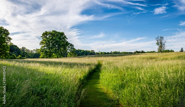 Obraz Summer Hayfield with Pathway in the Hudson Valley