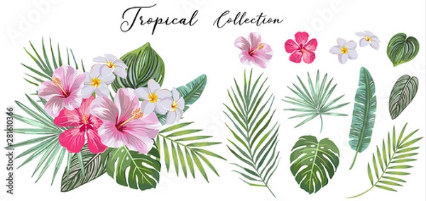 Fototapeta wyciągnąć rękę zestaw tropikalnych liści i kwiatów. koncepcja projektu wektorowego