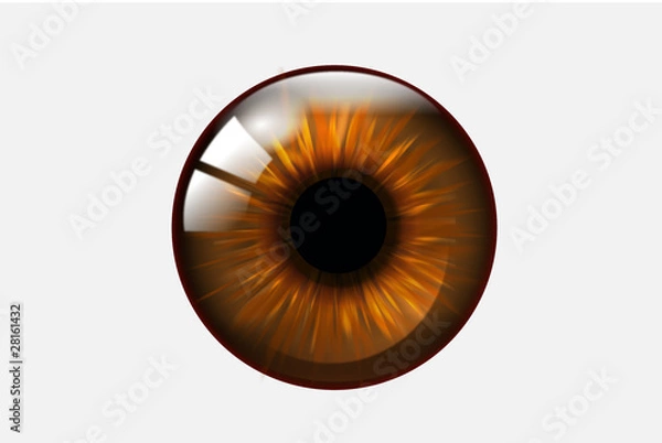 Fototapeta глаз
