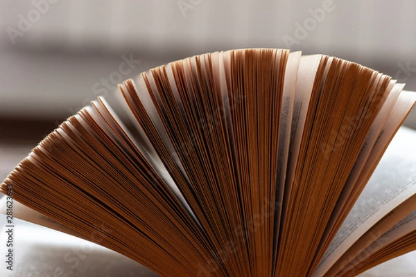Fototapeta View of book pages. Open the pages of the book. Open book on the table.