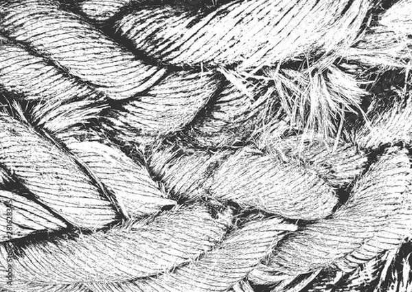 Fototapeta Distress grunge vector textures of fabric. Black and white background. EPS 8 illustration