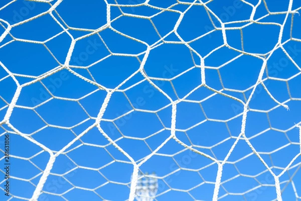 Obraz The nets of football goal with field artificial grass 