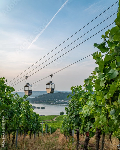 Obraz Funicular in Rudesheim am Rhein, Germany
