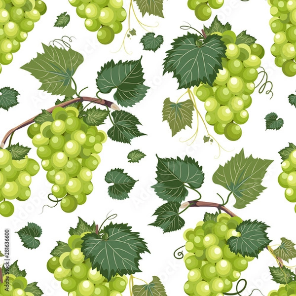 Obraz Grape vine seamless pattern and leaves on white background, Fresh organic food, White grape bunch pattern background, Fruit vector illustration.