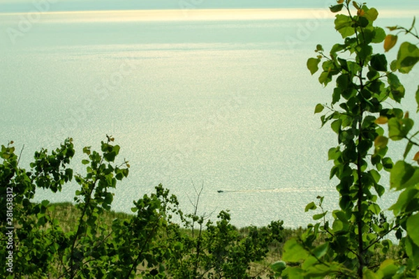 Obraz landscape with trees and blue sky