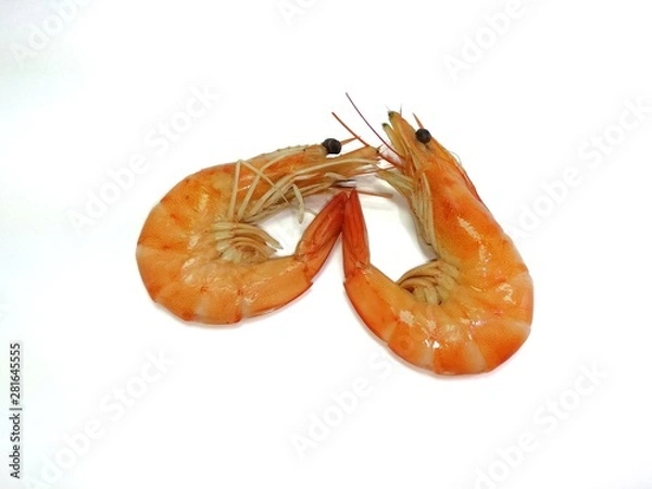 Obraz shrimp isolated on white background