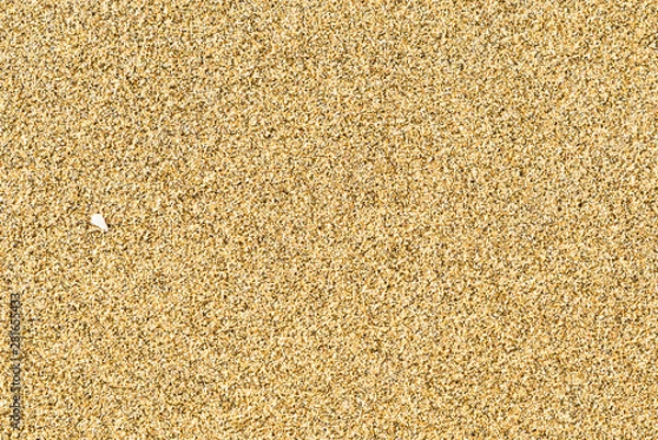 Fototapeta Sabbia e orme