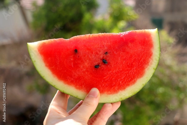 Fototapeta Unrecognizable person holding a slice of watermelon outdoor. Selective focus, green bokeh.
