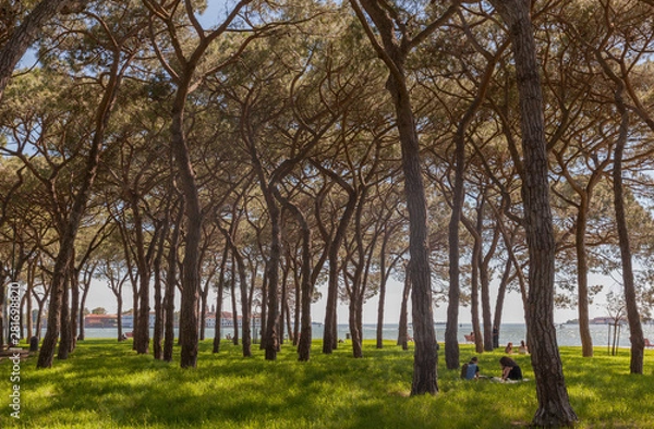 Fototapeta Park in Venice,Italy