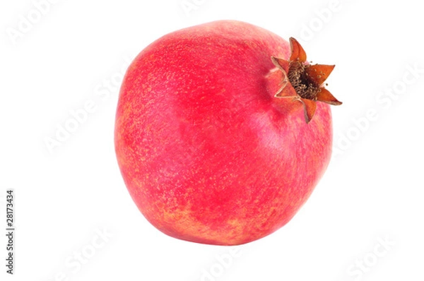 Obraz Pomegranat