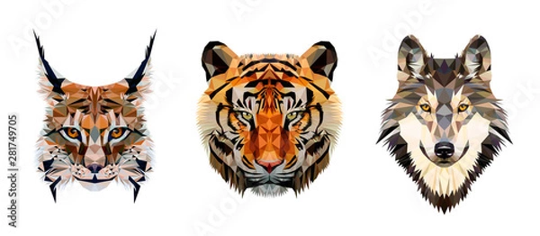 Fototapeta Low poly trójkątne głowy tygrysa, rysia i wilka na białym tle, ilustracji wektorowych na białym tle. Wieloboczny modny nowoczesny projekt logo. Nadaje się do nadruku na koszulce.