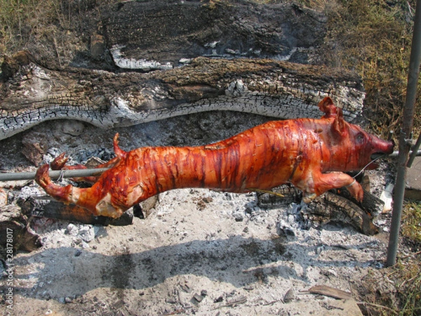 Obraz Pig roasted on a spit