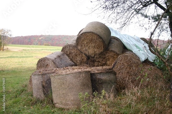 Fototapeta gelagerte Strohballen