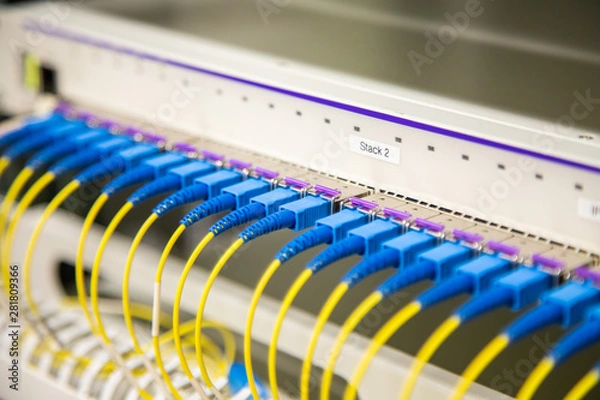 Obraz Cable électrique pour un serveur informatique