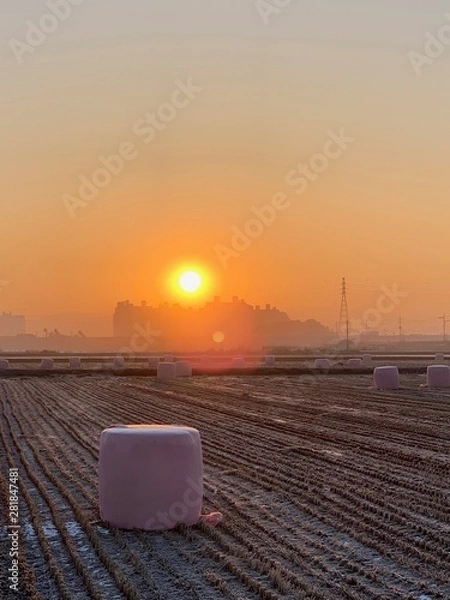 Obraz 겨울아침 농촌