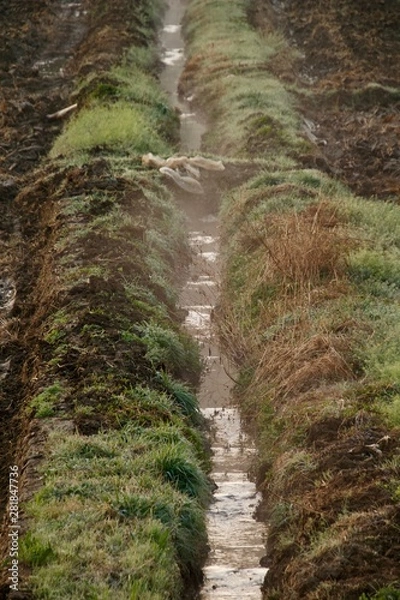 Obraz 도랑속의 안개