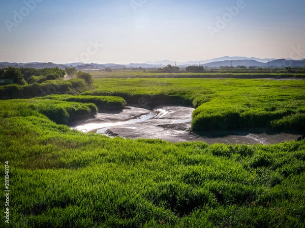 Obraz 자연의 작품