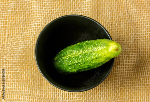 Obraz Cucumber