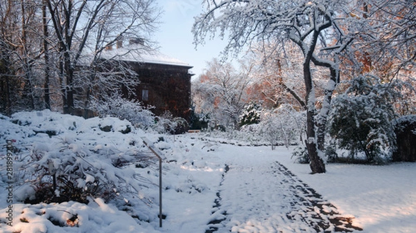 Obraz Winter in the park