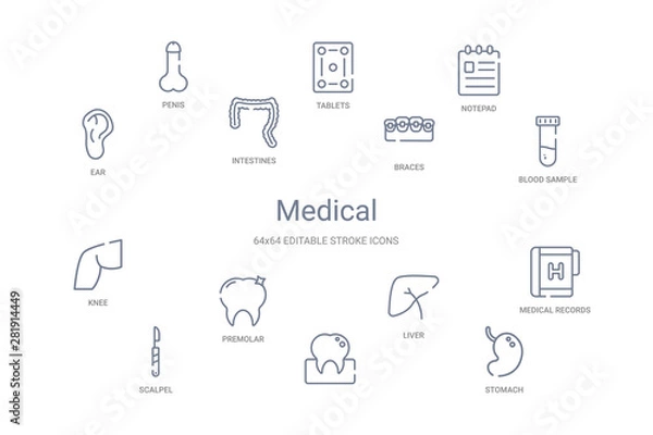 Fototapeta medical concept 14 outline icons
