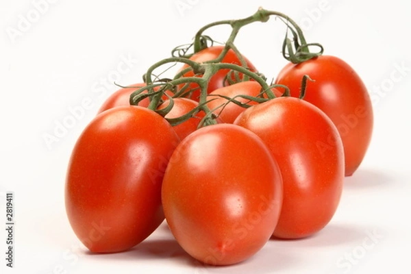 Obraz roma plum tomatoes