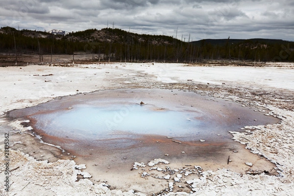 Fototapeta Yellowstone