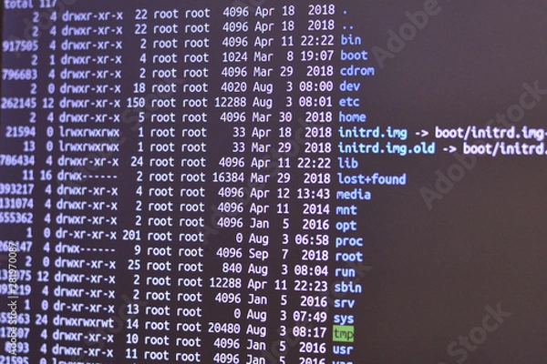 Fototapeta Remote access to network servers. Program terminal view.