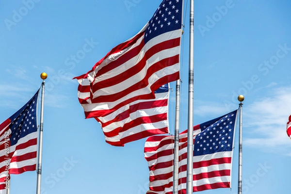 Obraz USA Flag waving