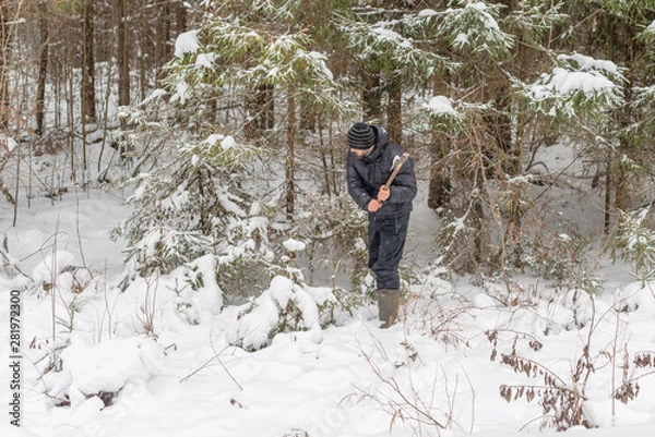 Fototapeta  a man with an ax and Christmas balls goes to the forest to cut a Christmas tree. cutting down Christmas tree.