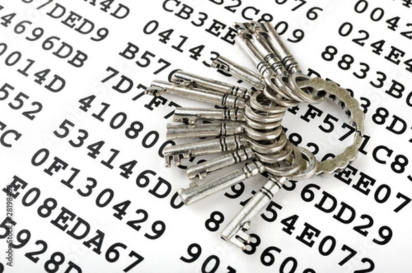 Fototapeta Bunch of silver keys on a sheet with encrypted data