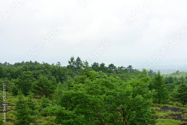 Obraz Mt.Fuji Gotenba Exit