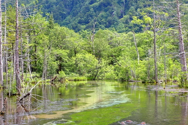Obraz 池のほとりで