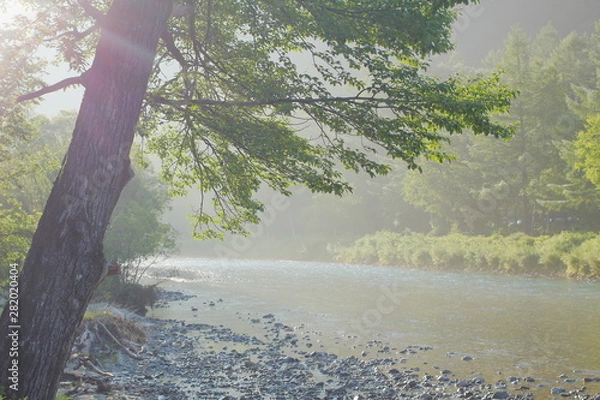 Obraz 朝日にきらめく川辺