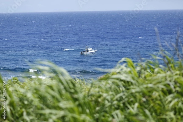 Obraz 草原・海原