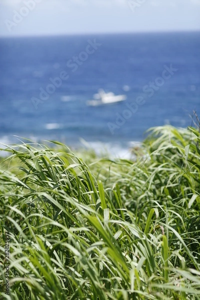 Obraz 草原・海原