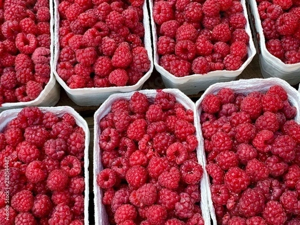 Obraz Raspberry Full Frame Texture