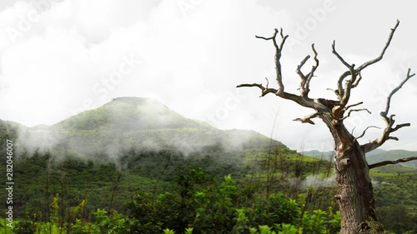 Fototapeta Mountain and cloud during rain