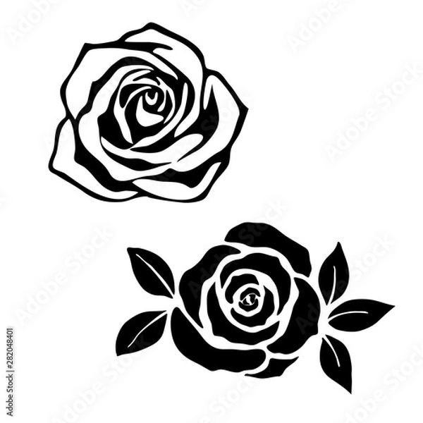 Obraz Róża sylwetka