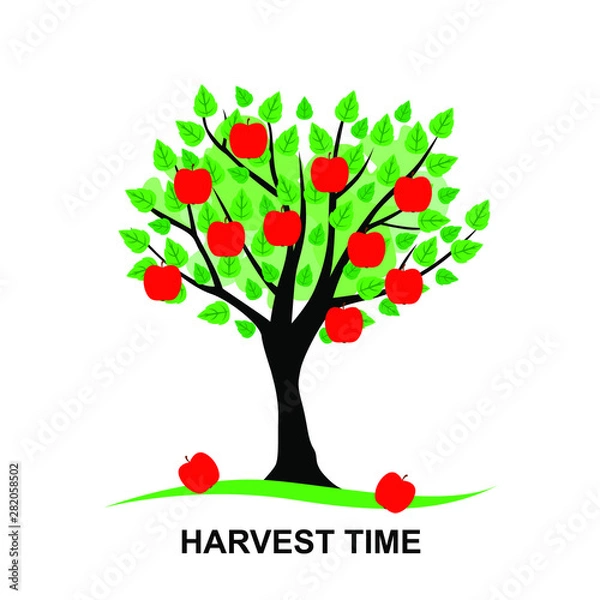 Obraz Vector illustrations of harvest time card with Apple tree