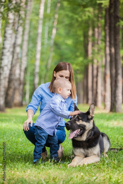 Obraz Family walk: mother and son with their dog in a city park for a walk. A child stroking a dog. German shepherd is the best friend of the child.
