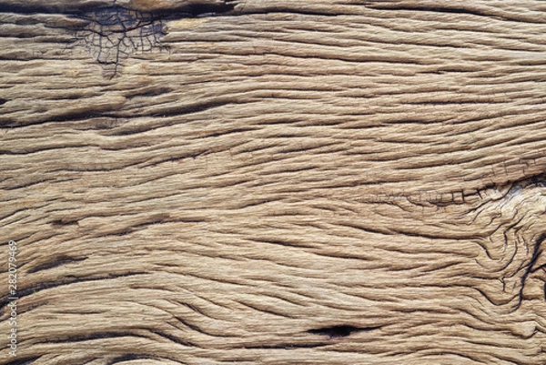 Obraz Wood texture.