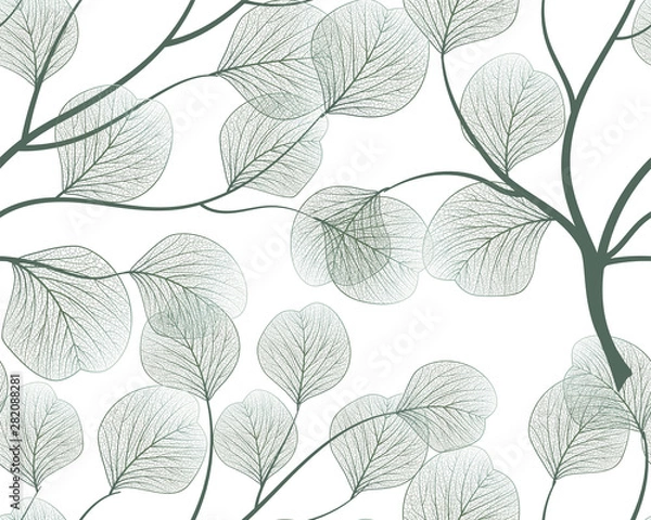 Fototapeta Seamless pattern with eucalyptus leaves.Vector illustration.