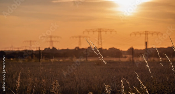 Obraz Power lines in orange sunlight