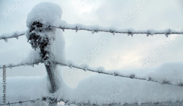 Fototapeta winter landscape with barbed wire