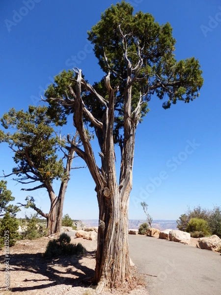 Fototapeta OLYMPUS DIGITAL CAMERA